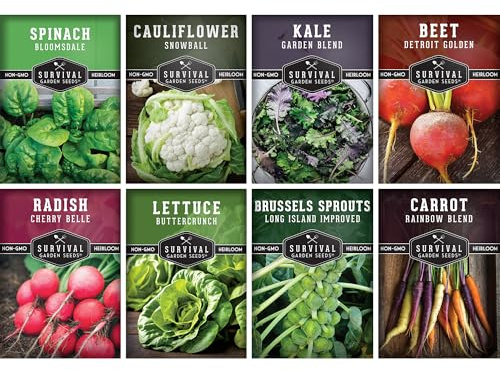 Fall & Winter Vegetable Seed Collection – 8 Packs of Non-GMO Heirloom Seeds for Planting Vegetables | Autumn & Indoor Gardening Seed Pack – Survival Garden Seeds