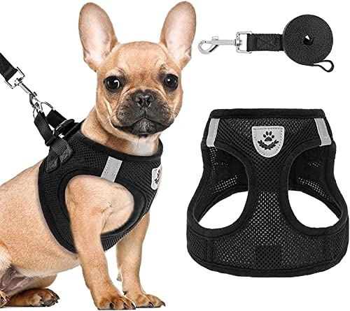 PAWCHIE Puppy Harness and Leash Set - Soft Mesh Dog Vest Harness, Reflective & Adjustable Harness for Small to Medium Dogs, Cats and Puppies,Easy Walk Comfortable Pet Harness with Handle (15-20 lbs)