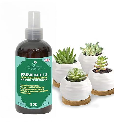 Professional Succulent Spray Fertilizer Mist for Home Gardening | 3-1-2 Gentle Blend Mist for Healthy Leaves & Growth | Essential Nutrients for Succulent and Cacti - 8oz