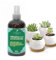 Professional Succulent Spray Fertilizer Mist for Home Gardening | 3-1-2 Gentle Blend Mist for Healthy Leaves & Growth | Essential Nutrients for Succulent and Cacti - 8oz