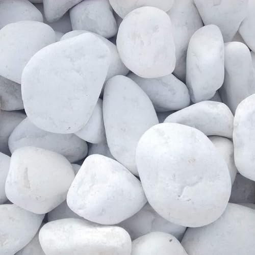 Vegara Stone Piedra Jardín Decoración Canto Rodado Blanco Puro (10, 6-10 cm)