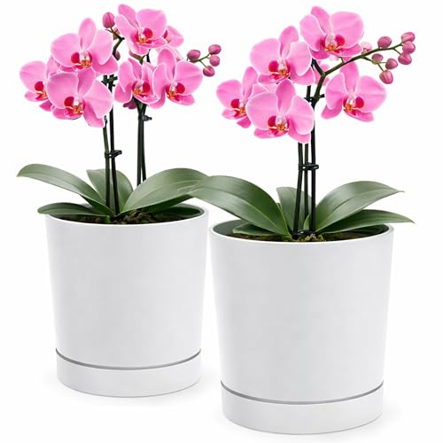 PECZEKO Vaso da fiori opaco in plastica, vaso decorativo per piante, grandi e piccole, set da 2 vasi per fiori, vaso per erbe aromatiche (2 confezioni), bianco, diametro 20 cm