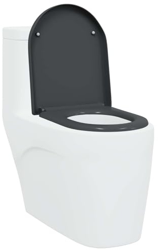 vidaXL Toalettstol Antracit 49 x 36 x 4 cm Duroplast