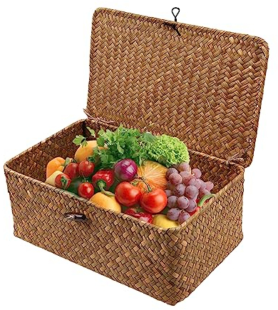 Sporgo Cesto in vimini con coperchio: cesto portaoggetti a cerchio da mare, cestino portaoggetti rettangolare, 23 x 13 x 8 cm, cestino in vimini per cucina, carta igienica, conservazione del bagno