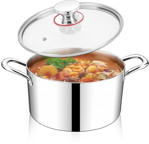 HaWare Olla de 22 cm para inducción de acero inoxidable de 3 capas, 4,8 L, con tapa de cristal para todo tipo de cocinas, sopa y carne para cocinar, saludable y sin revestimiento, apta para