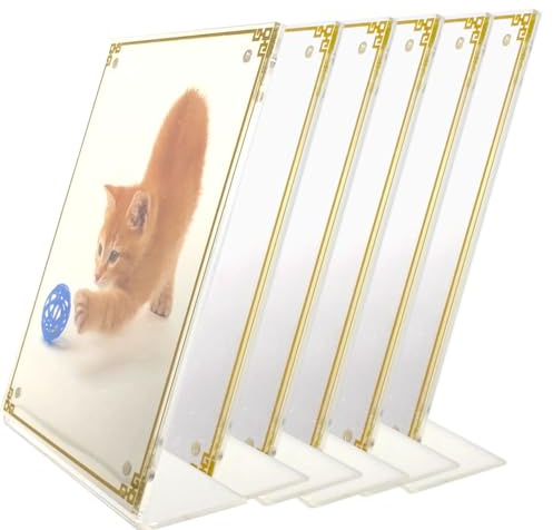 Marco de fotos acrílico 13 x 18 cm, Juego de 6, Marcos de fotos magnéticos de acrílico con motivo dorado, Marco de pared magnético de acrílico transparente, Portafotos magnéticos para pizarras de foto