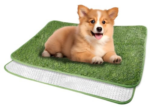 WIYETY Hundeklo Kunstrasen Hundetoilette, 40x60cm Welpentoilette Trainingsunterlage, Training Pee Pads, Waschbar Hunde Training Rasenmatte, Wasserdicht Hundetoilette für Zuhause, Wohnung