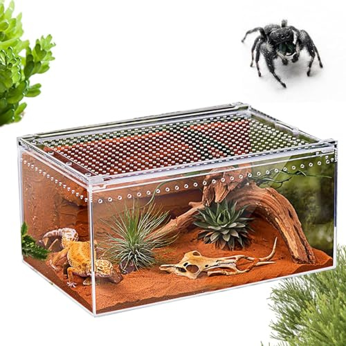 Terrario para Arañas Saltarinas - Terrario De Acrílico para Reptiles - para Geckos | para Arañas Serpientes Ranas Camaleones Dragones Barbudos