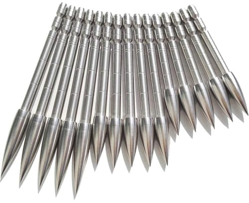 AMEYXGS 12pcs Tiro con L'Arco Inserto Punte di Freccia in Acciaio Inossidabile Broadheads Freccia di Testa 80/100/120/130/150/170/200/230 Grain per frecce ID 4.2mm (Tipo 1, 100gr)