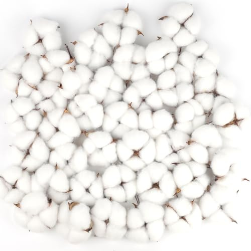 Larber 50pcs Testa di Fiore Essiccata in Cotone Steli di Cotone Artificiale Decor di Fattoria Cotone Per Un matrimonio perfetto festa di decor domestica fai da te con fiori e arredamento domestico
