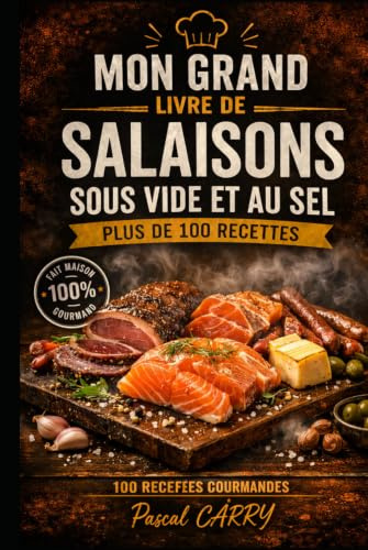 100 RECETTES SALAISONS SOUS VIDE ET AU SEL: Techniques traditionnelles et modernes pour conserver, affiner et sublimer viandes, poissons et spécialités maison