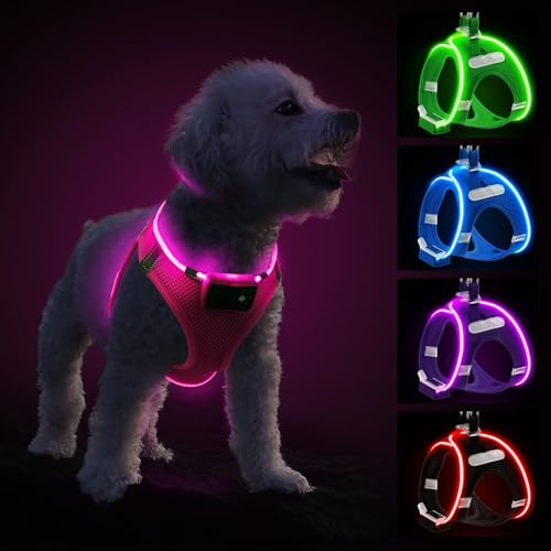 Pettorina per cani con luce a LED, ricaricabile, per cuccioli di piccola e media taglia, riflettente, lampeggiante, si illumina al buio, impermeabile, per passeggiate notturne, rosa-M
