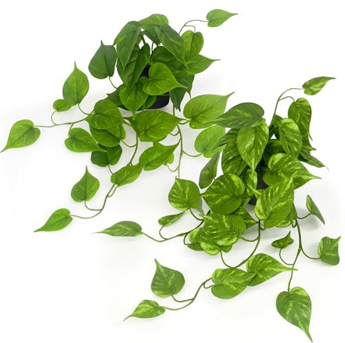 YMIFEEY 2 Stück Künstliche Pflanzen im Topf, Kunstpflanze Hängend Efeutute Wand Wohnzimmer Bad Regal Deko, Hängepflanze Künstlich Wie Echt, Plastik Pflanze mit Töpfe,Fake Plant Indoor Outdoor