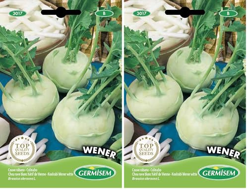 Germisem Wener White Semi di Cavolo Rapa 3 g (Confezione da 2)