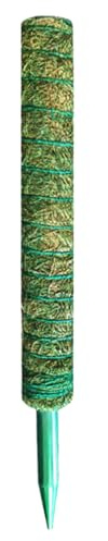 Piquet d'escalade pour, 40 cm, en Fibre de Noix de Coco Naturelle, bâton de Mousse, Monstera, pothos, philodendron, Soutien, Jardin, entraînement, vignes