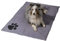 dobar® 60422 Kühlmatte für Hunde - Hundekühlmatte für Hund & Katze - selbstkühlende Matte für Haustiere - Hundedecke mit Kaltgel-Füllung - Kühldecke - 99,5 x 70 cm - Grau