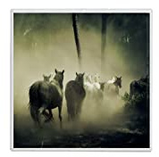 Fabulous Piastrella in ceramica decorativa - Orda di cavalli selvatici nella foresta, 4,5 x 4,5 cm