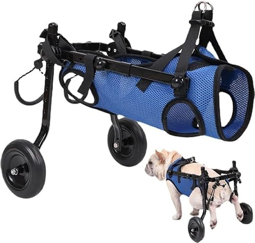 Silla de ruedas para perros, perro discapacitado, carrito de asistencia para perros discapacitados, carrito para perros, ligero, tamaño ajustable, adecuado para perros pequeños y medianos (Azul S)