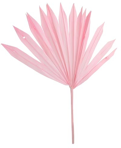 POPETPOP Foglie di Palma Essiccate Naturali Decorative Foglie di Palma Secca Multiuso per Decorazioni Matrimonio e Festa Decorazione da Parete e Forniture Fai da Te Colore Rosa