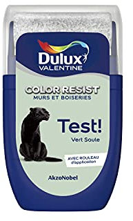 Dulux Valentine Peinture Color Resist - Murs et Boiseries - Mat - Testeur Couleur Vert Saule 30 ml 5320750