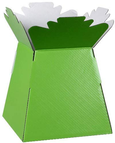 INERRA Florist Boxes - Living Vases for Flower Bouquet Box Making - Pack of 10 (Lime Green)