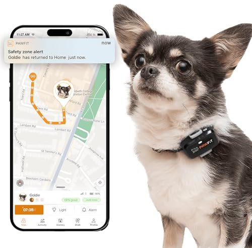 Pawfit Lite 4G GPS Dog Tracker, Live Tracking, Ultra-Light, Onyx Black