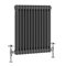 NRG 600x605 Traditional Colosseum Cast Iron Bathroom Radiator Anthracite 2 Panel