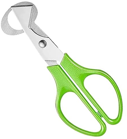 Wachteleier Schere, Edelstahl Eierschneider, Kleine Eierschere Wachteleier, Küchenwerkzeug Eierschalenöffner, Eierschalenschere, Wachtel-Ei-Öffner für Zuhause Restaurant Küche(Grün)