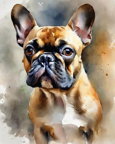 ZMHZMY Malen nach Zahlen DIY Handgemalt Ölgemälde Kits für Erwachsene Anfänge Französische Bulldogge Malen Nach Zahlen Kits für Geschenk Home Deko 40×50cm(Rahmenlos)