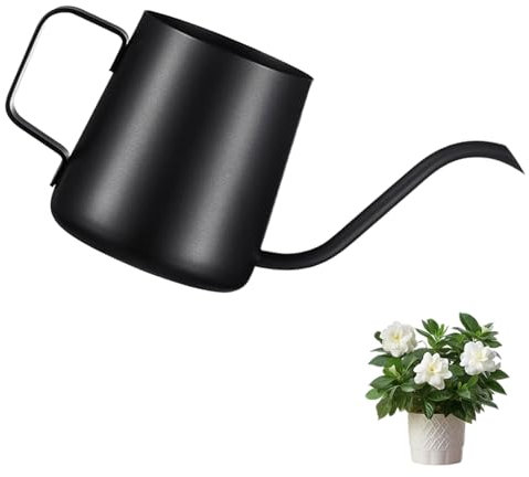 RONMOSNEA Schwarz Gießkanne Klein Zimmerpflanzen, Mini Gießkanne, Edelstahl Langer Auslauf Giesskanne, Garten Gießkanne für Zimmerpflanzen Sukkulenten (250ml)