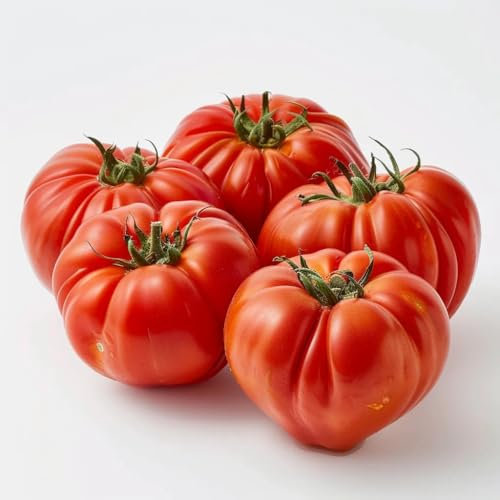 35 Graines de Tomate Cœur de Bœuf - SemiSauvage Permaculture