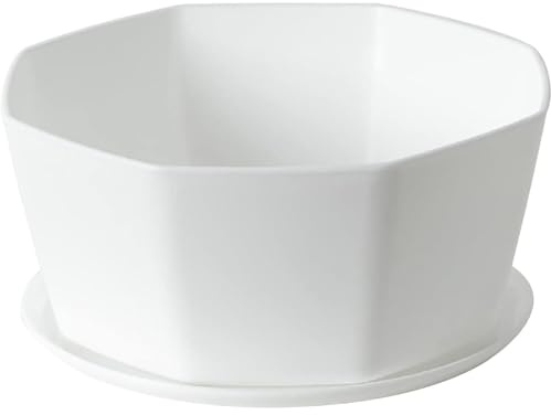 Peosaard Pots Succulents, planteurs de bonsaï en céramique avec Trou de Drainage et Soucoupe, 5, 9 Pot à Fleurs Peu Profondes pour Plantes intérieures/extérieures (Blanc)