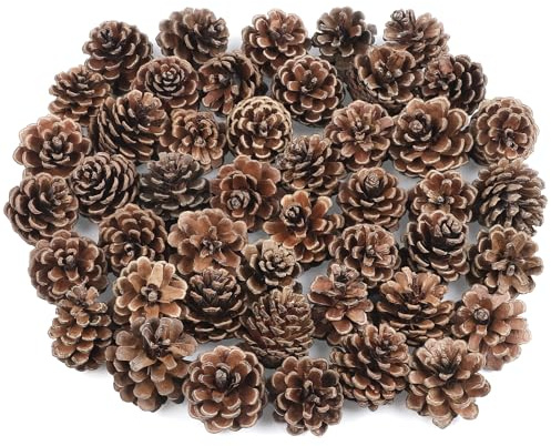 TaoQ C 50 Pièces Petites Pommes de Pin Mini Naturelles Décorations en Pommes de Pin de Noël pour Sapin de Noël Mariage Fête à Domicile Les Guirlandes Ornements