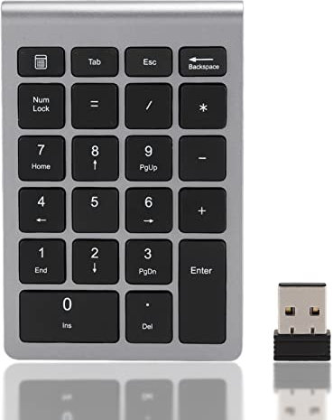 2.4G Wireless Numeric Keypad, 22 Keys Slim Mini Number Pad, USB Receiver Portable Financial Accounting Number Keyboard for Laptop PC Plug and Play(Iron Gray)