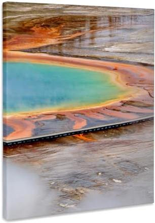 3dRose Grand Prismatic Spring, Midway Geyser Basin, Yellowstone NP, Wyoming Museum Grade Canvas Wrap 11x14