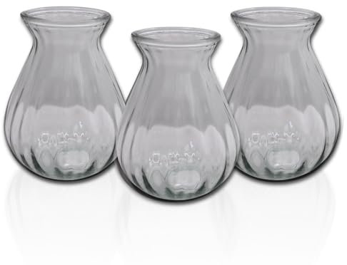 Hyazinthengläser | 3 Stück | Ideal für präparierte Hyazinthen | Vase für Schnittblumen, Zimmerpflanzenableger, Hydropinic oder Deko | (Transparent/Klar)
