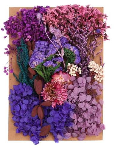 PATIKIL Fiori Secchi Naturali, Piante di Fiori Pressati Secchi Colorati Multipli per Scrapbooking di Candele di Sapone in Resina Artigianale, Viola