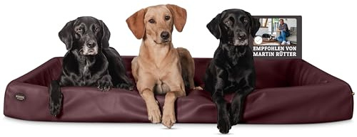 SABRO KUDDE Orthopädisches Hundebett – Martin Rütter – Hochwertiges Kunstleder – Waschbar & Wasserabweisend – Ergonomisch – Premium Haustierzubehör für Grosse Hunde XXL in Bordeaux