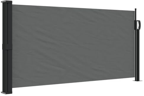 vidaXL Toldo Lateral retráctil Gris Antracita 100x500 cm