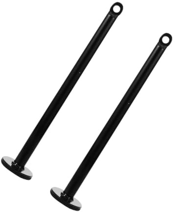 BESPORTBLE Support pour Disques De Musculation à Goupille De Chargement en Métal, Capacité Élevée, Taille Compacte, Accessoire pour Équipement De Fitness, Utilisation à Domicile Ou Professionnelle