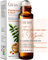Gya Labs Weihrauch und Somali Myrrhe Ätherisches Öl Roll on - 100% reines natürliches Weihrauch für Gesicht, Myrrhe für Haut, Körper Schmerzen Komfort, Aromatherapie, Reisegröße (10 ml)