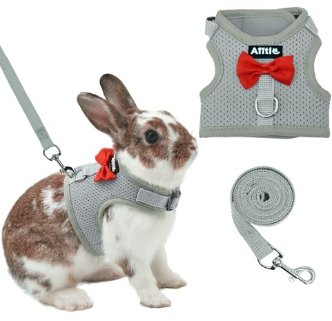 AIITLE Ensemble harnais et laisse pour chat avec jolie boucle, harnais en maille douce et respirante pour lapins, chatons, furets, chiots, petits animaux, accessoires de promenade, gris, S