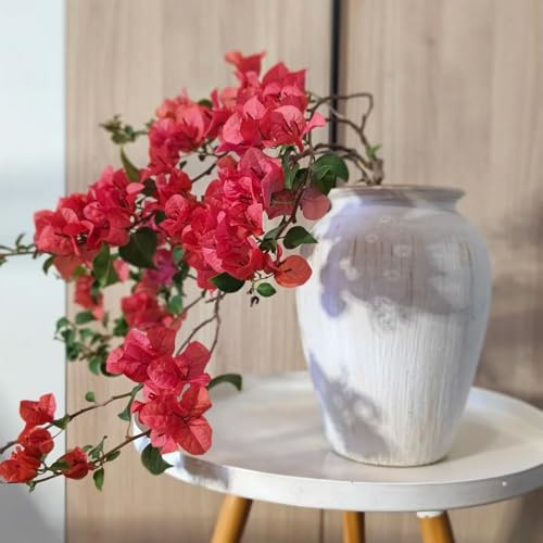 semi resistenti di piante di bouganville - fiori di perforazione - semi di aiuola rialzata balcone giardino semi di fiori perenni regali da giardino fiori di campo piante perenni 500pcs