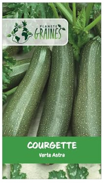 60 Graines de Courgette Verte Non Hybride - Variété Coureuse et Productive