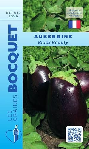 Sachet de graines de Aubergine Black Beauty - 1 g - LES GRAINES BOCQUET