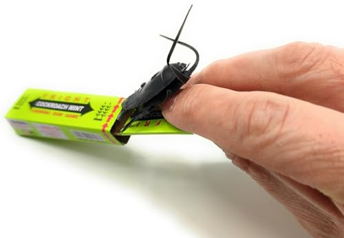 5 Scherzkaugummi Kakerlake Scherzartikel Prank Streich lachen Kinder erschrecken