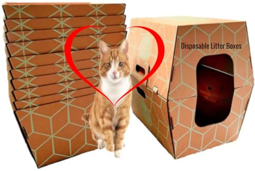 Cats Desire - 12 Trays, Disposable Litter Boxes for Cats - Litter Box, Fits Large Cats - Water Resistant Cat Litter Box - Made in USA, 19 L x17 W x 8.5 H Tray - Enclosed Box