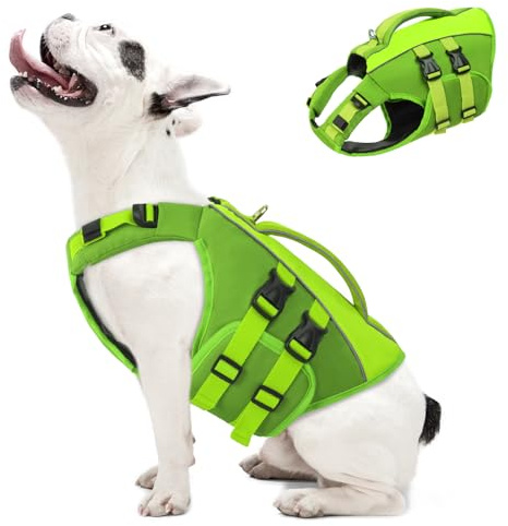 Qeenmore Gilet de Sauvetage pour Chien Taille M - Vert, Réglable, avec D-Ring, Flottabilité Supérieure, pour Bulldog Français, Dachshund