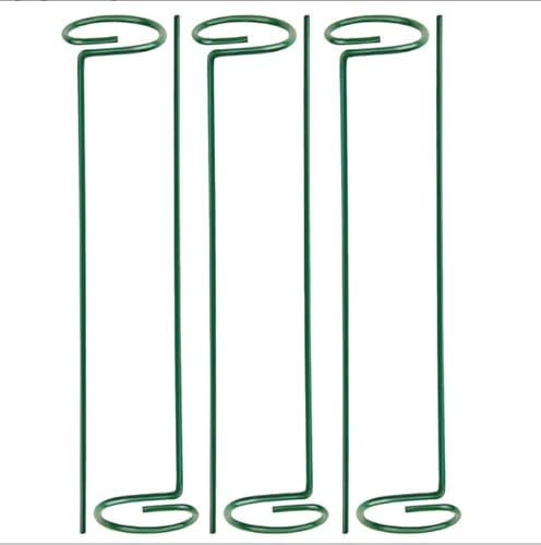 Plant Support with Rings, 6pcs 60cm Green Garden Stakes, Designed for Single Stem Plants, Ideal for Outdoor Patio Plants and Flowers such as Amaryllis, Orchid, Rose, and Tomatoes