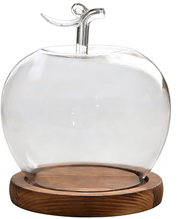Dôme de Cloche, Couvercle décoratif dans la Conception, vitrine de Bureau préservée, Ornement élégant de vitrine | Dôme en Verre décoratif pour collectionneurs, Bureau à Domicile, Vente au